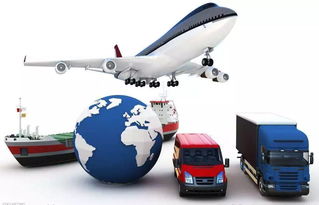 天貓出海新突破 杭州保稅零售出口試單告捷，電器輔件銷售迎藍海